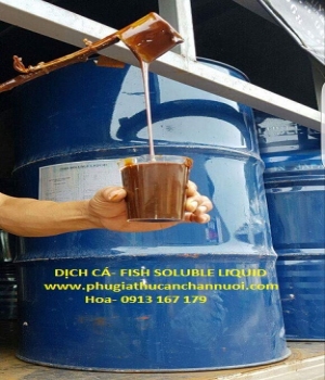 DỊCH CÁ